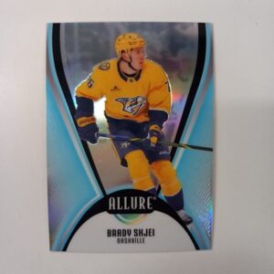 2025-26 Upper Deck Allure Brady Skjei/Alex DeBrincat #30